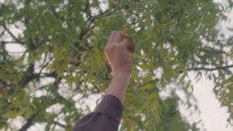 Elu avastamine