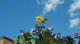 Paranna minut, Herra