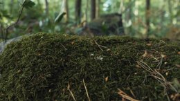 Maailma ilman Jumalaa