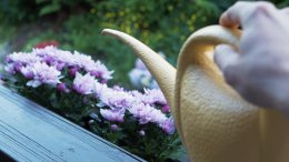 Herra pitää palvelijastaan huolen