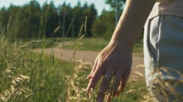 Varjele minua kuin silmäterääsi