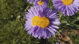 Jumala ilmoittaa itsensä