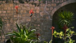 Osa 2/3. Torinon käärinliinan salaisuus