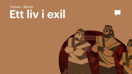 Bible Project svenska