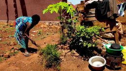 Open Doors - Kristittyjen vainot tänään