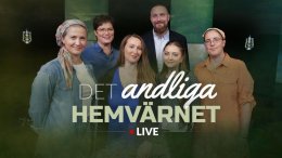 Beskydd för de ofödda, stöd för mammor