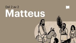 Bible Project svenska