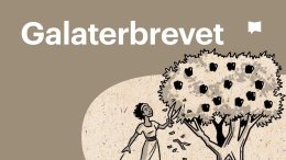 Bible Project svenska