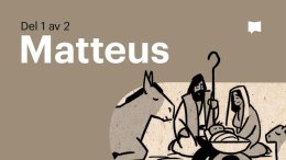 Bible Project svenska