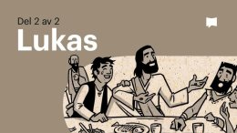 Bible Project svenska