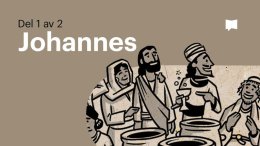 Bible Project svenska