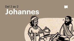 Bible Project svenska