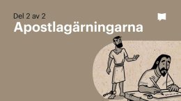 Bible Project svenska