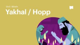 Bible Project svenska