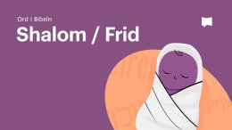 Bible Project svenska