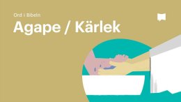 Bible Project svenska