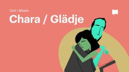 Bible Project svenska