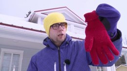 Vargad Niiittyläs?