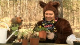 Nelli-Nalle