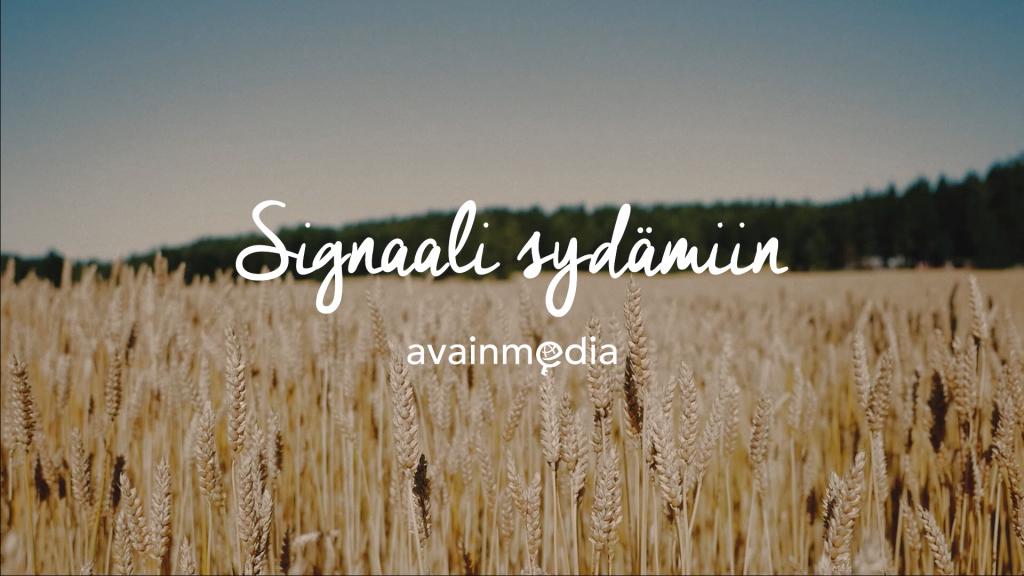 Signaali sydämiin