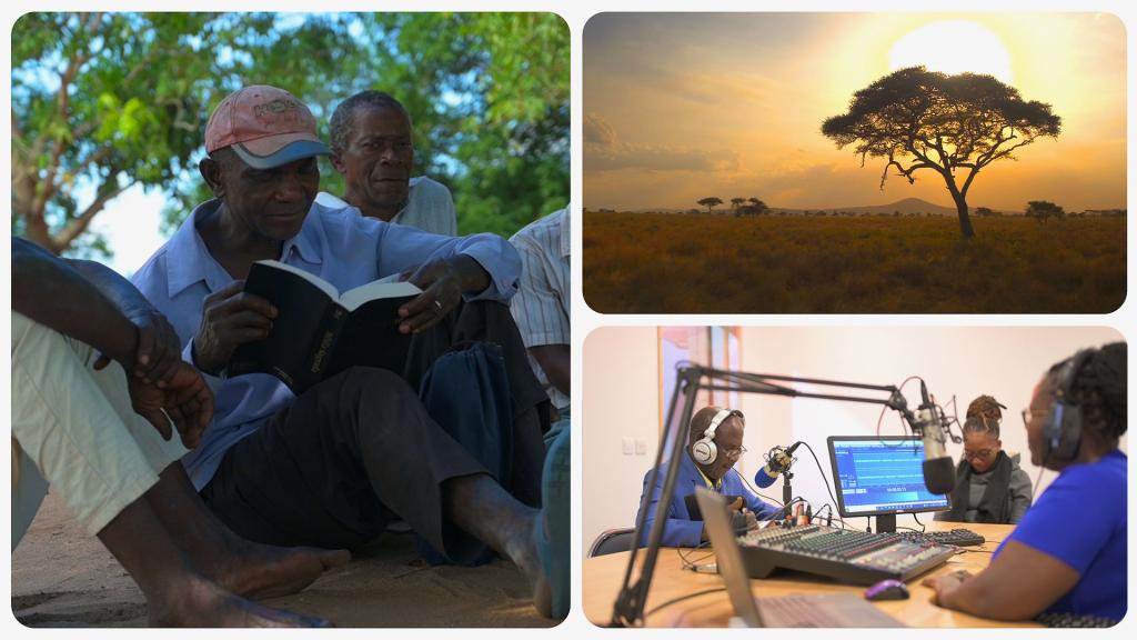 Afrikanska radiovågor